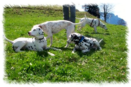 Aufnahme von Olaf Schmidt