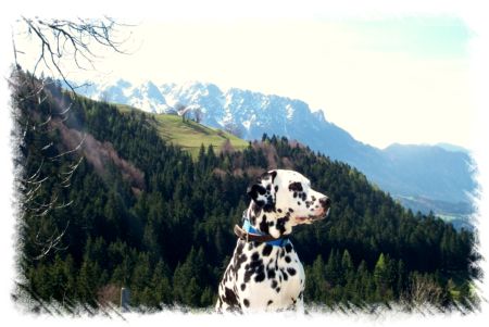 Aufnahme von Olaf Schmidt