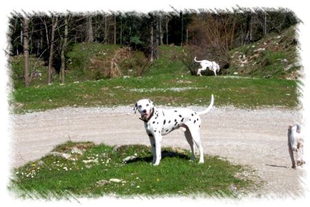 Aufnahme von Olaf Schmidt