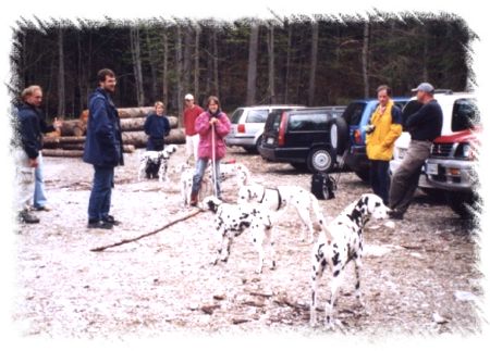 Httehunde