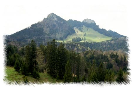 Blick aufs Ziel