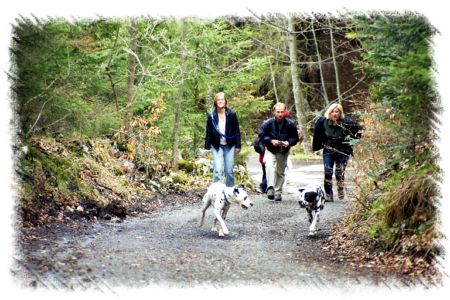 Piste zum Warm werden