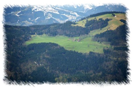 Astabhfe, Foto Jrg Rasche