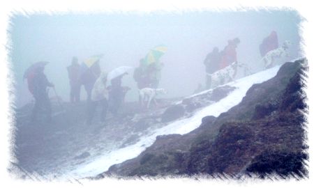 Foto von Maik Ghring